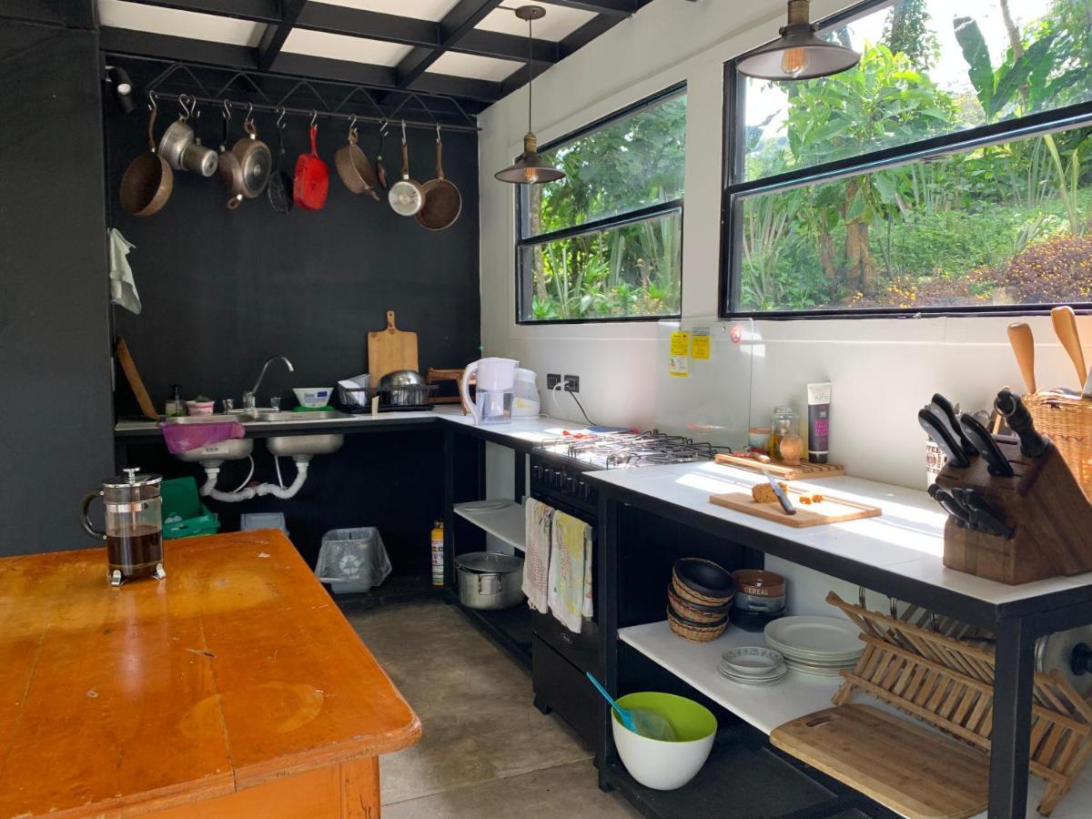 Chalets Huitaca チョアチ エクステリア 写真