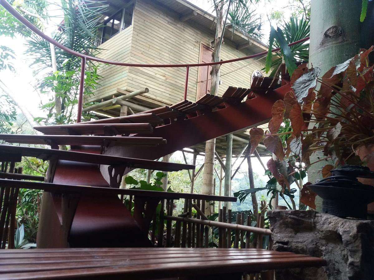 Chalets Huitaca チョアチ エクステリア 写真