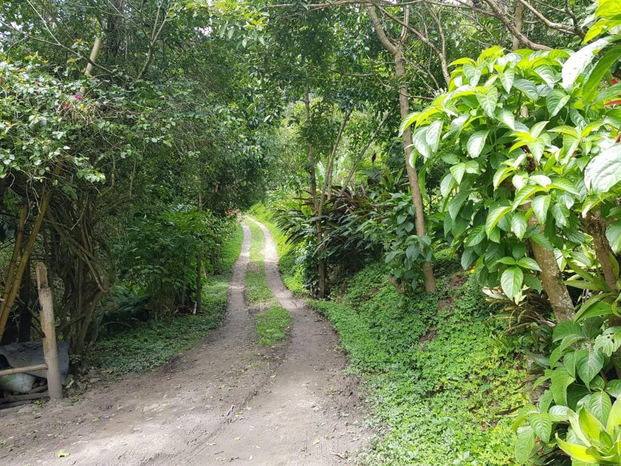 Chalets Huitaca チョアチ エクステリア 写真