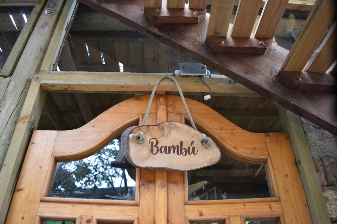 Chalets Huitaca チョアチ エクステリア 写真
