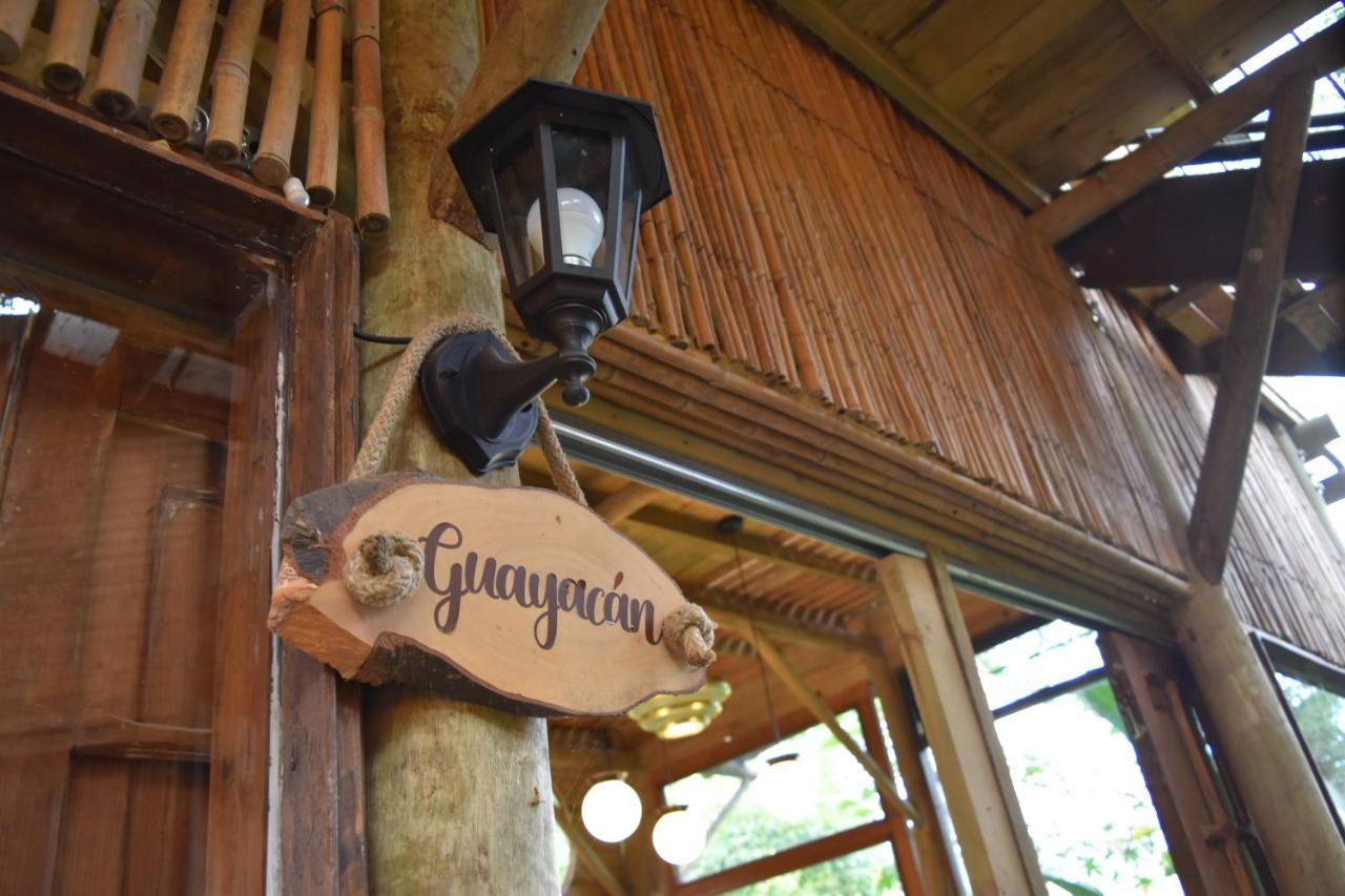 Chalets Huitaca チョアチ エクステリア 写真