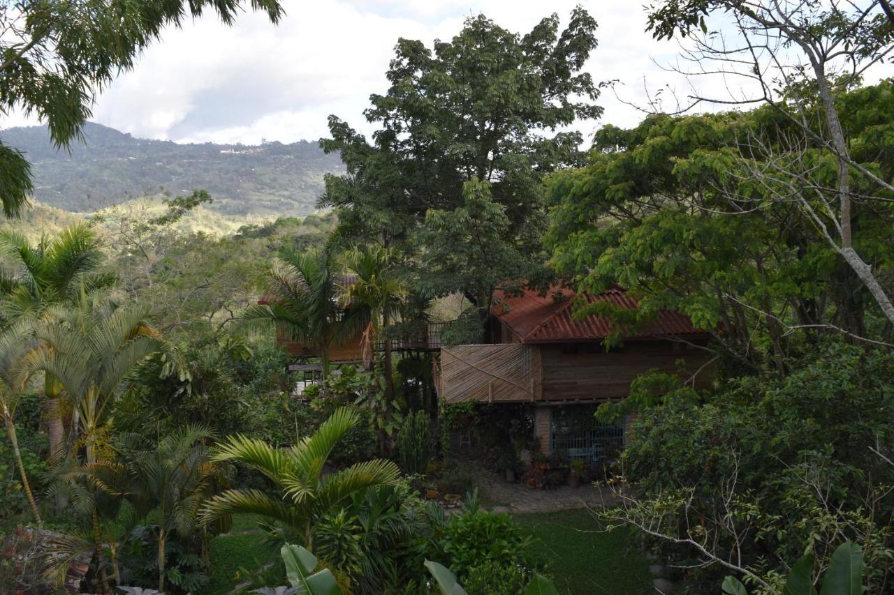 Chalets Huitaca チョアチ エクステリア 写真