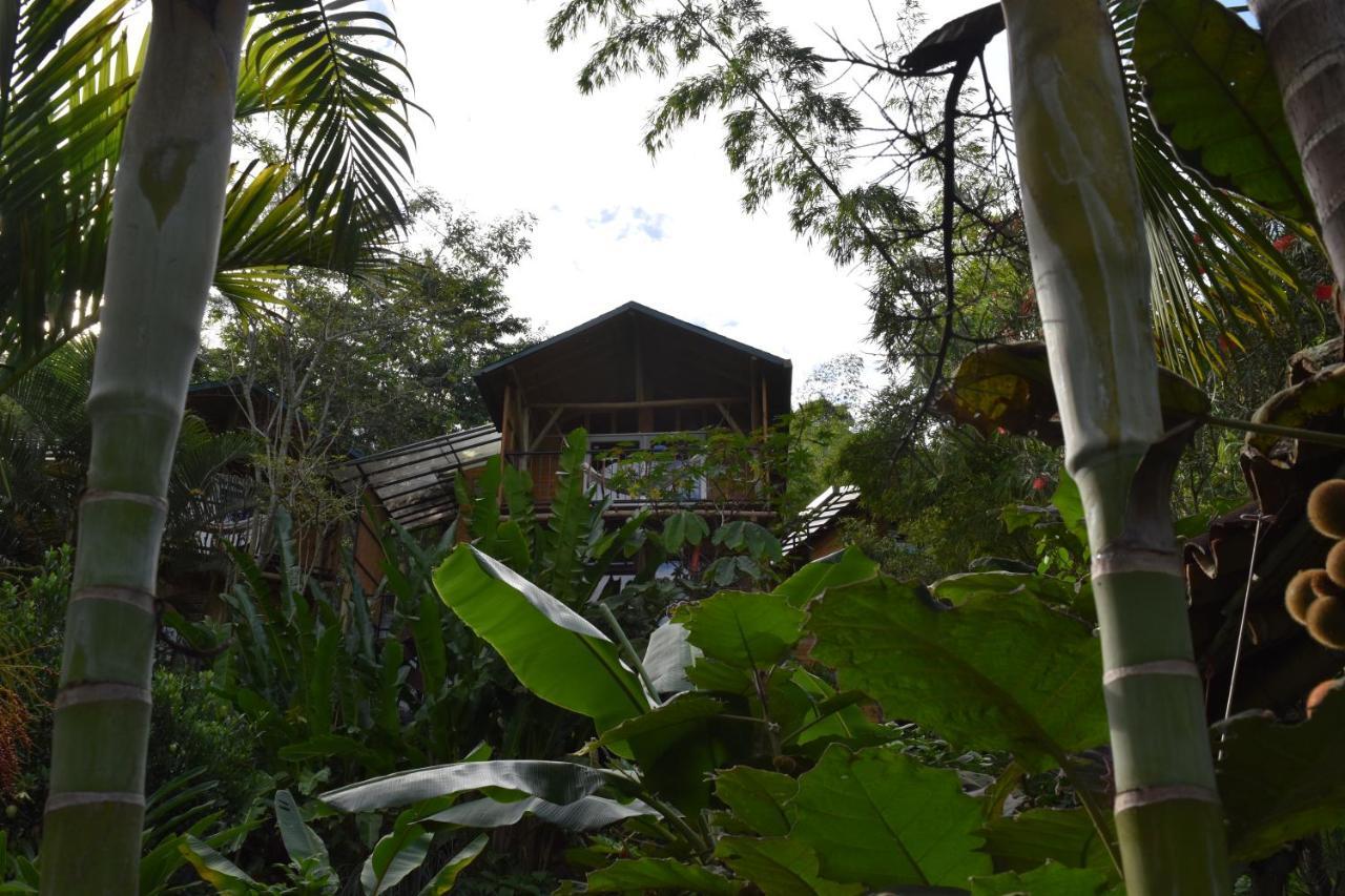 Chalets Huitaca チョアチ エクステリア 写真